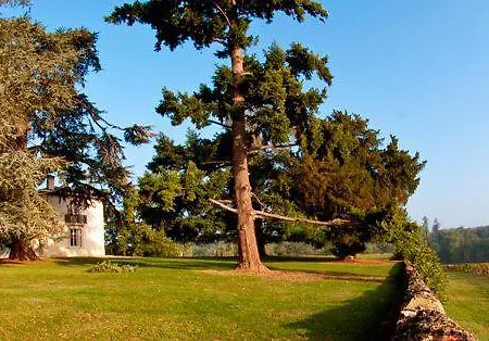 Les Secrets Château Pey La Tour Hotel Salleboeuf