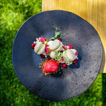 Pey La Tour - Logis & Restaurant 3* Salleboeuf