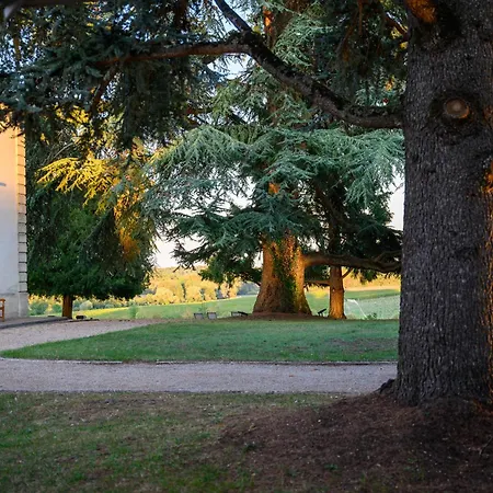 Les Secrets Château Pey La Tour