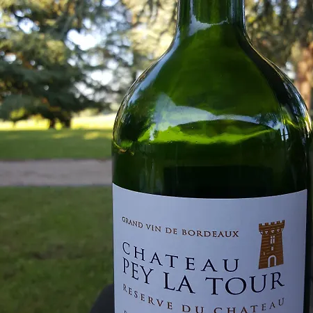 Pey La Tour - Logis & Restaurant Salleboeuf