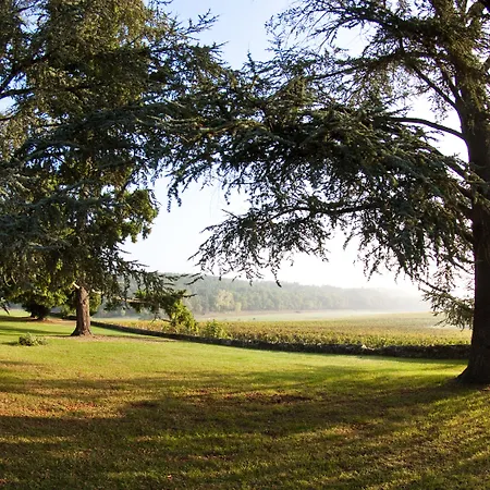 Pey La Tour - Logis & Restaurant 호텔