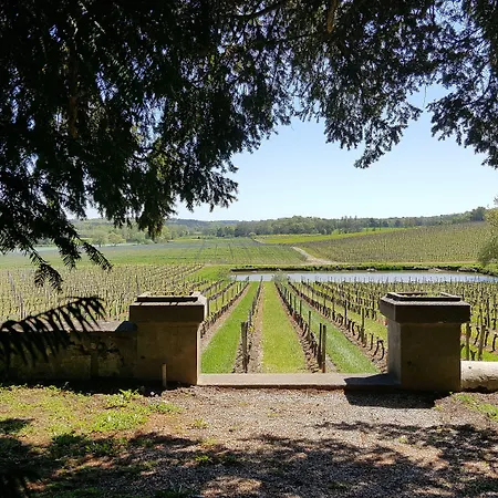 Ξενοδοχείο Pey La Tour - Logis & Restaurant